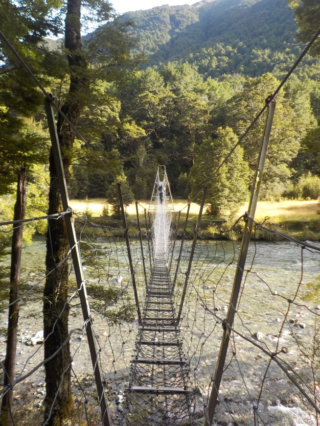 Compulsory Bridge Shot